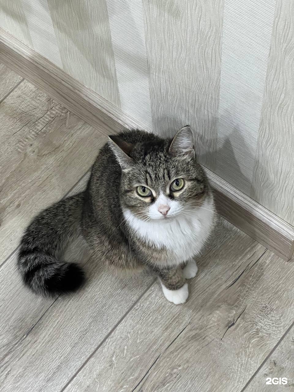 Омский областной центр по профилактике