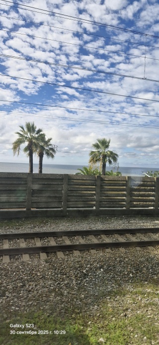 Зайцы, зоомагазин, Хитрый