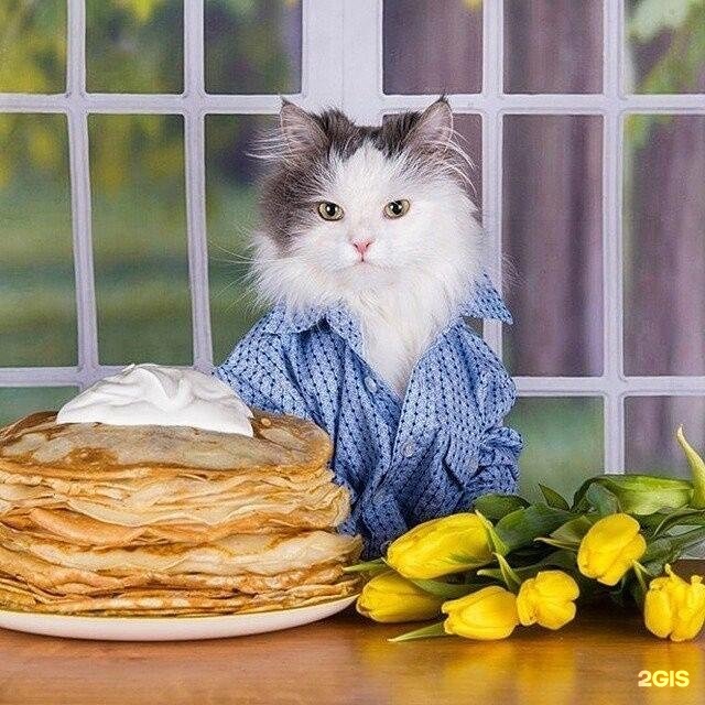 Бонифаций, зоомагазин