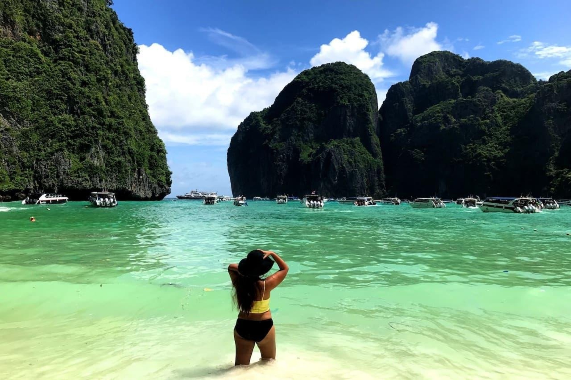 Бранд, кинологический центр, Краснов двор