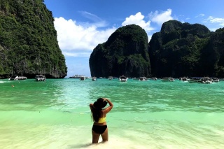 Бранд, кинологический центр, Краснов двор