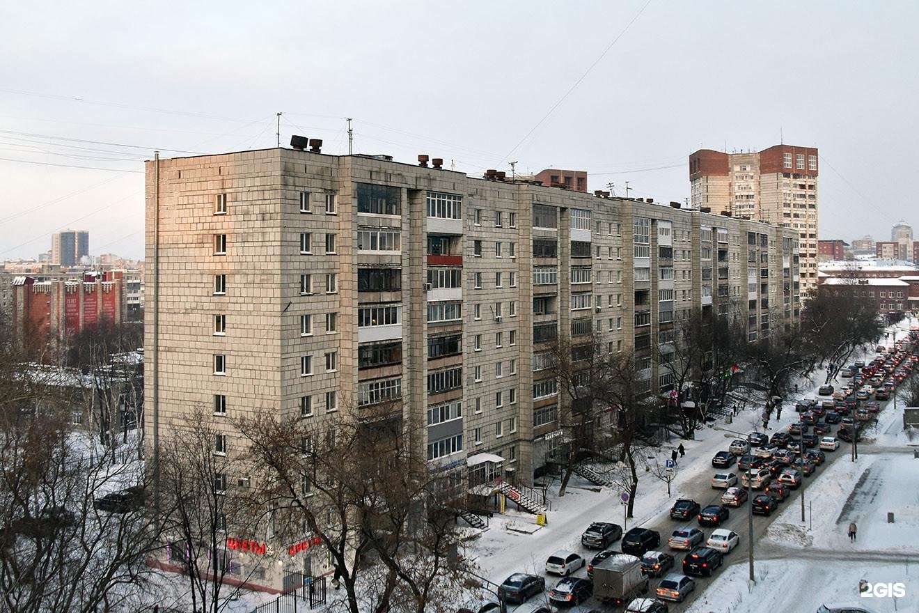 Laika, мастерская груминга