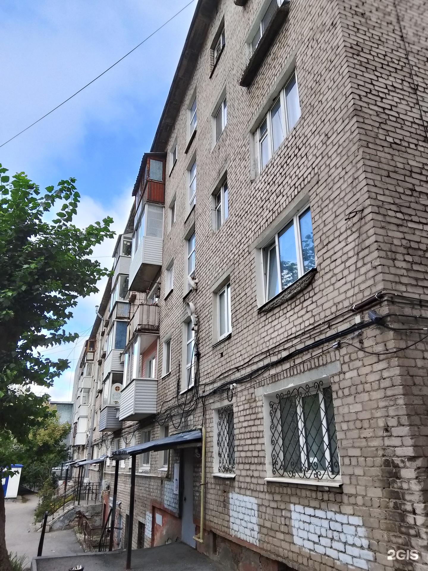 Центр ветеринарной реабилитации доктора Бедаковой