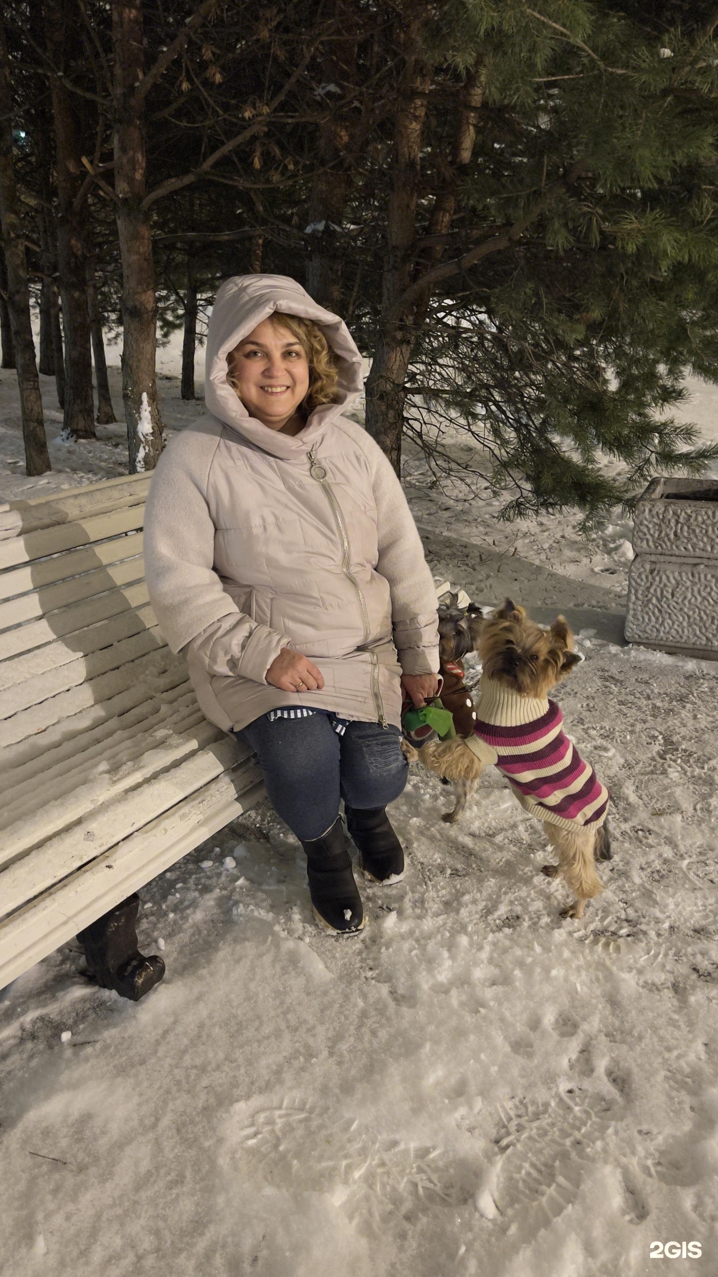 Чип и Дейл Плюс, ветеринарный центр