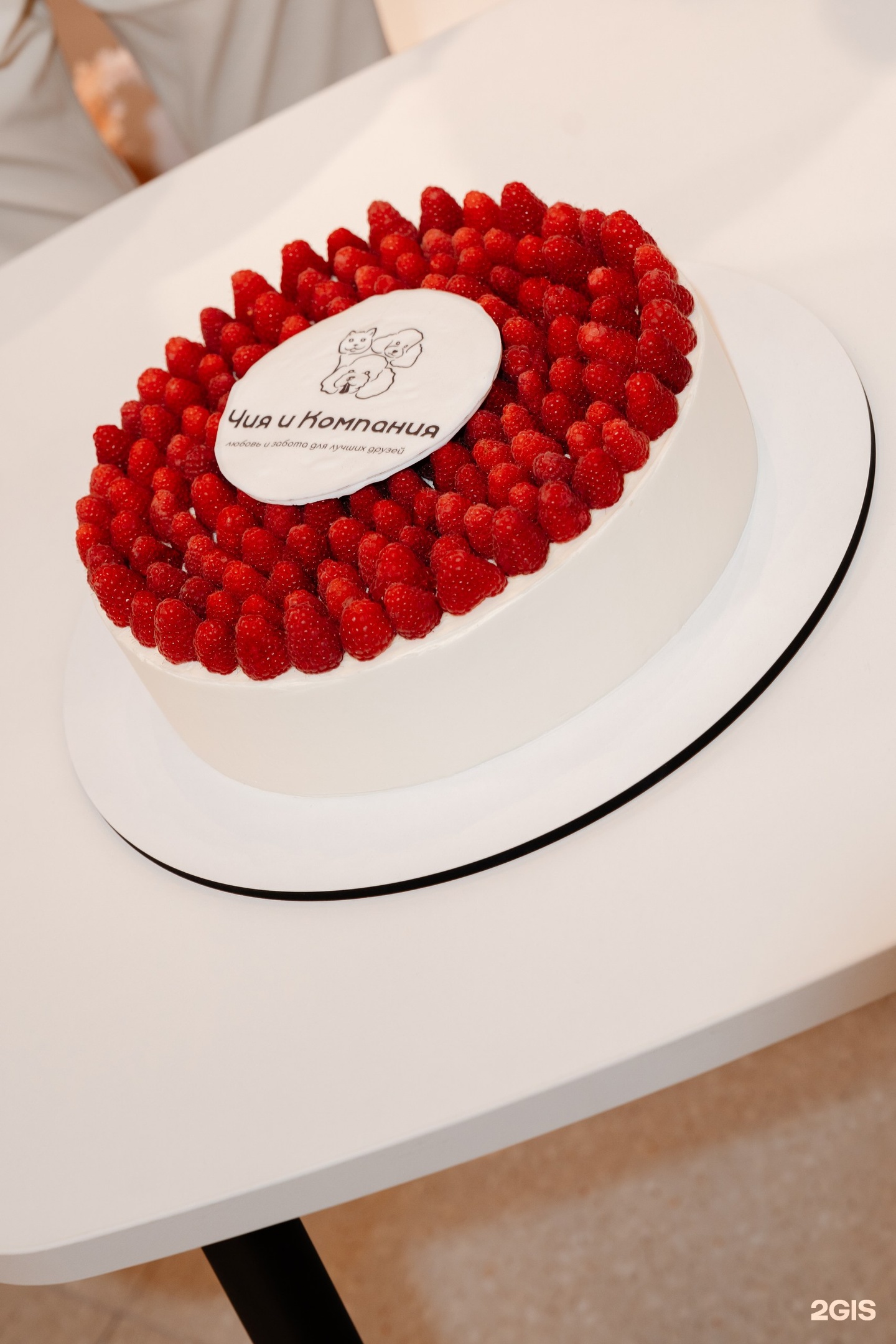 Чия и Компания, пространство заботы о питомцах