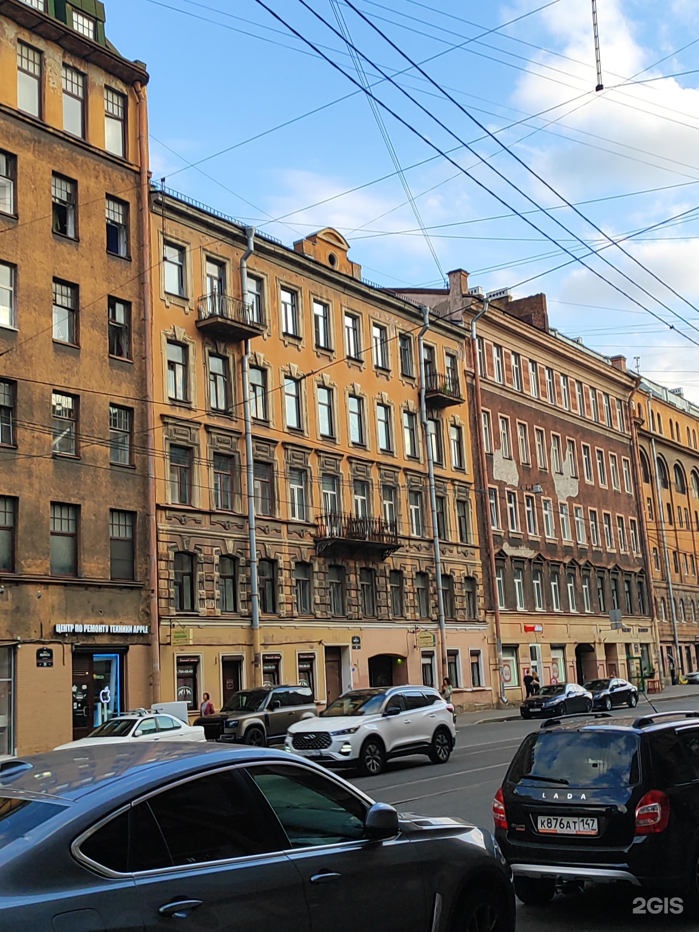 Домашний любимец, салон красоты для животных