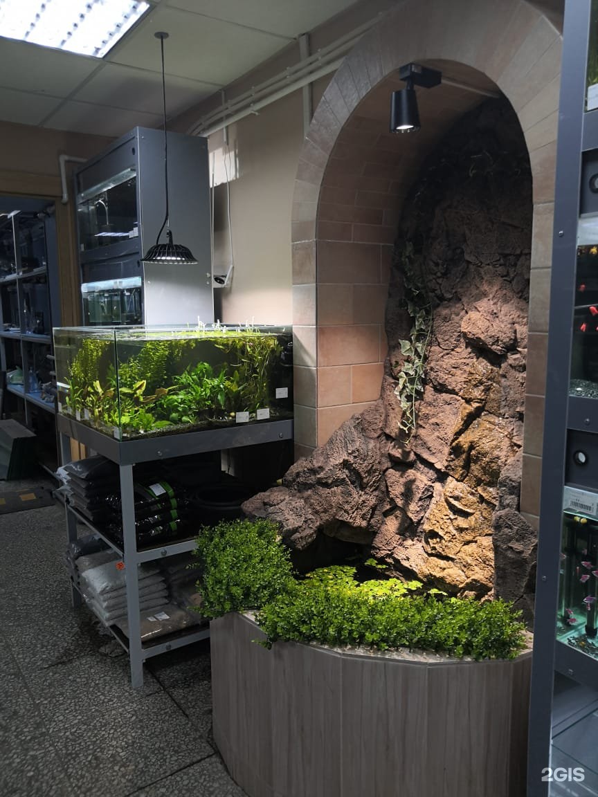 Fishhouse, зоомагазин