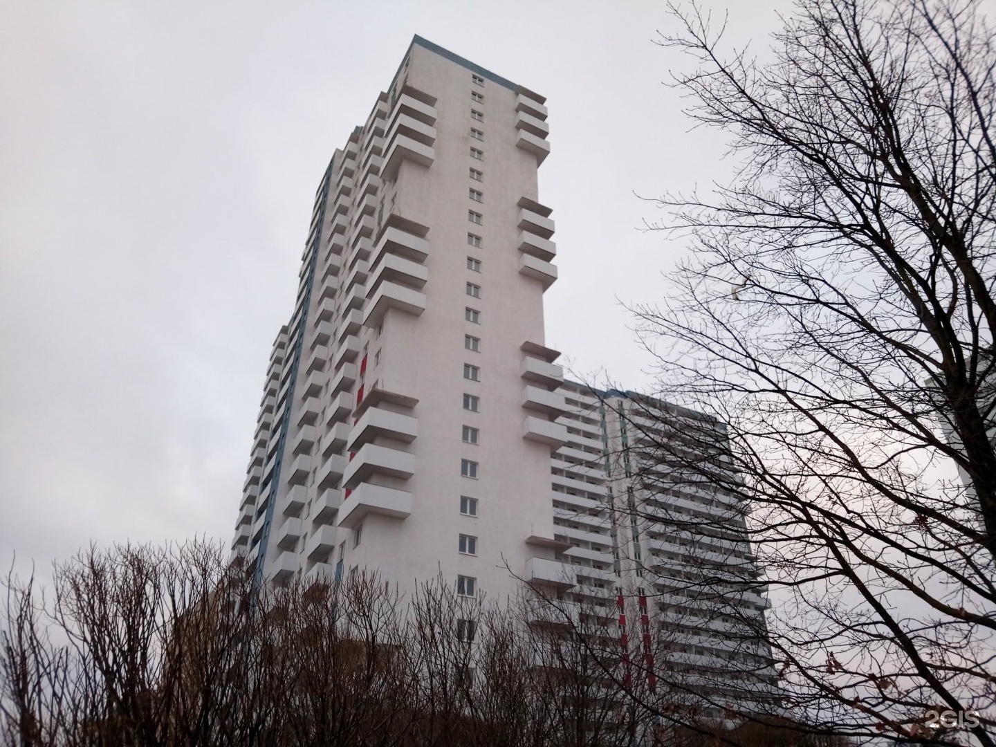 Лапа любви, груминг салон и зообутик