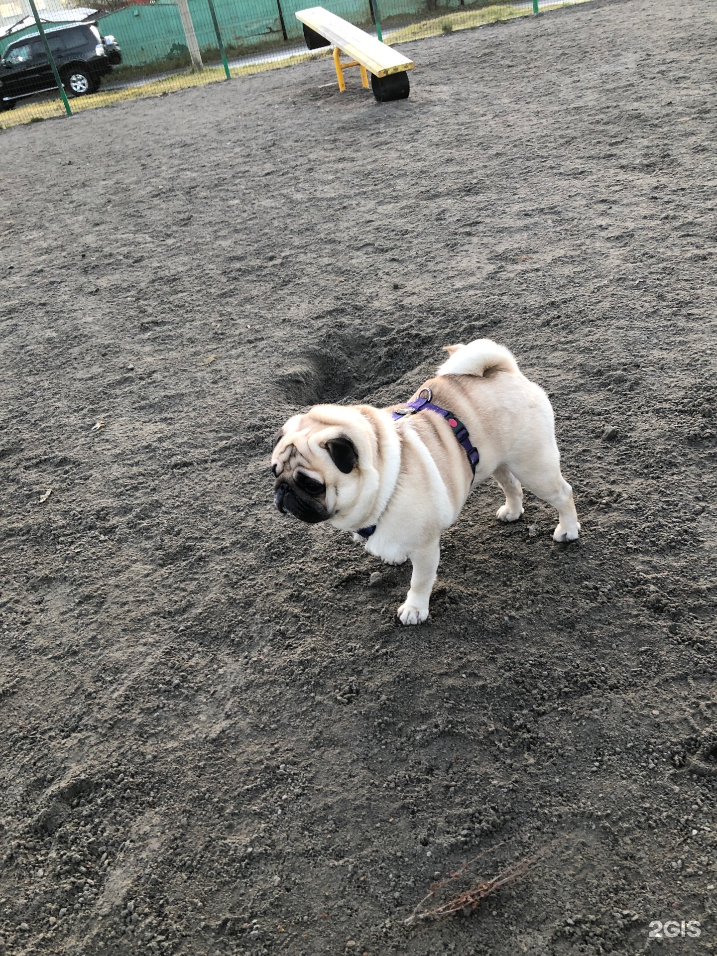 Любимый нос, груминг-салон