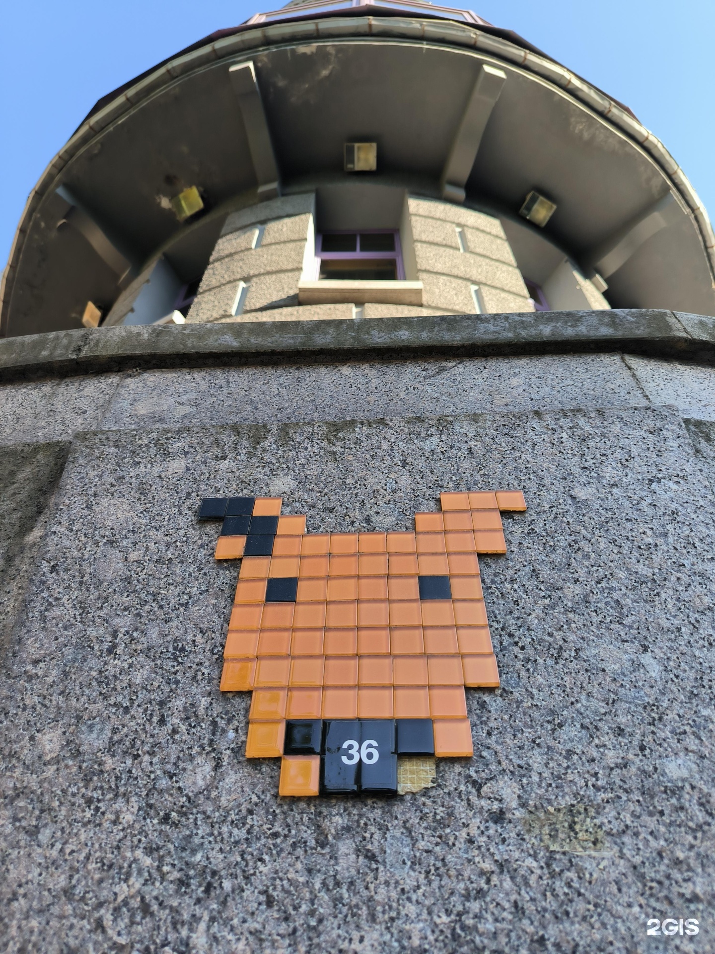 Пэтмаг, зоомагазин