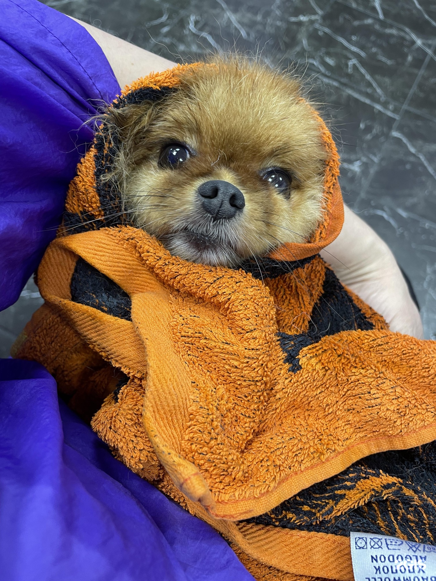 Пушистый рай, груминг-студия