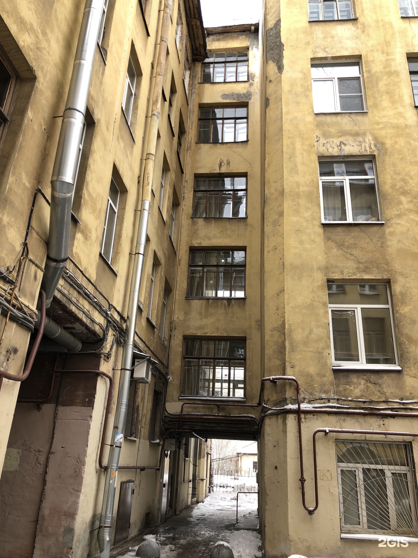 Тони Вальди, груминг-салон и бутик для животных