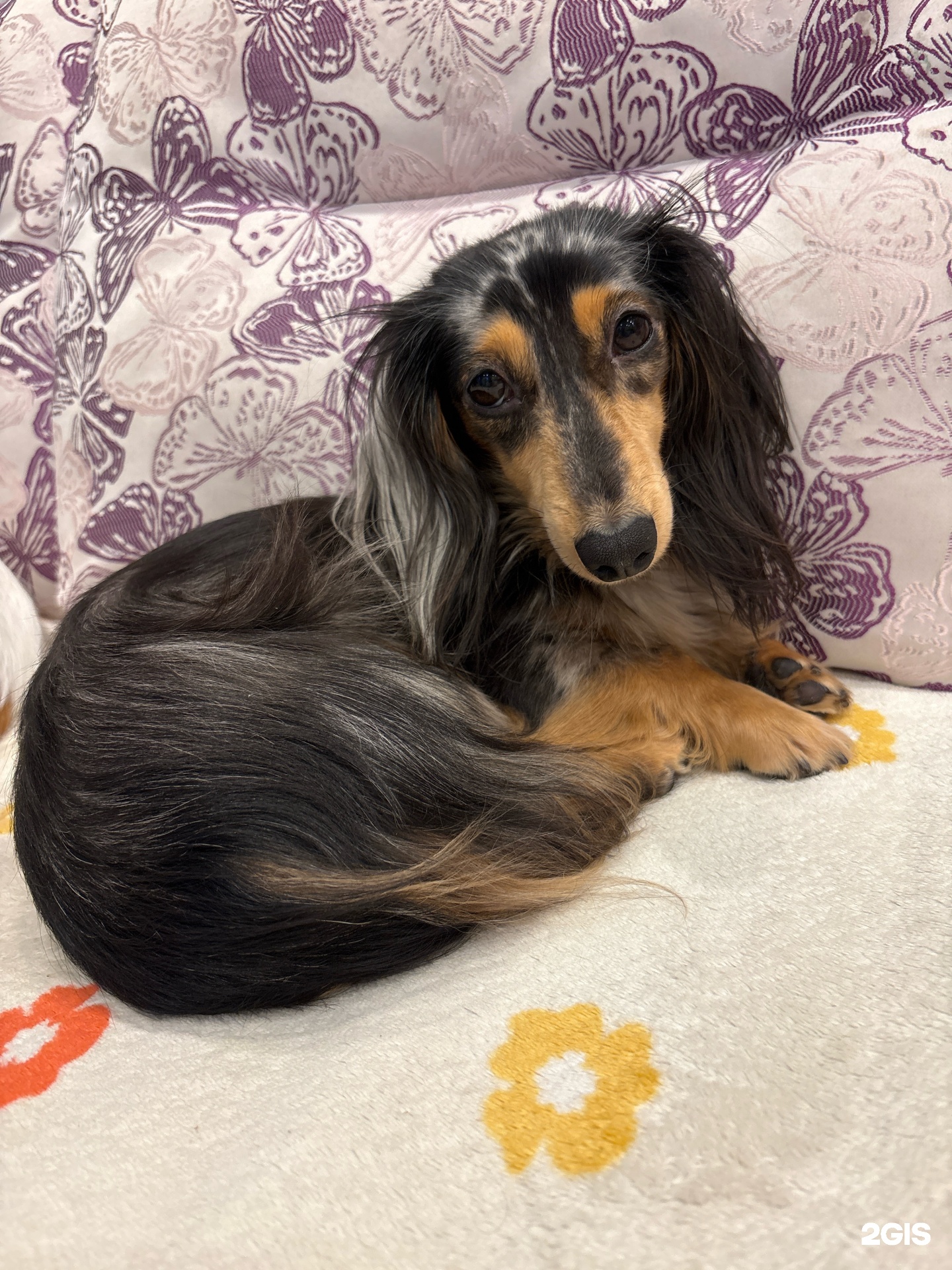 У Томаса, зооцентр