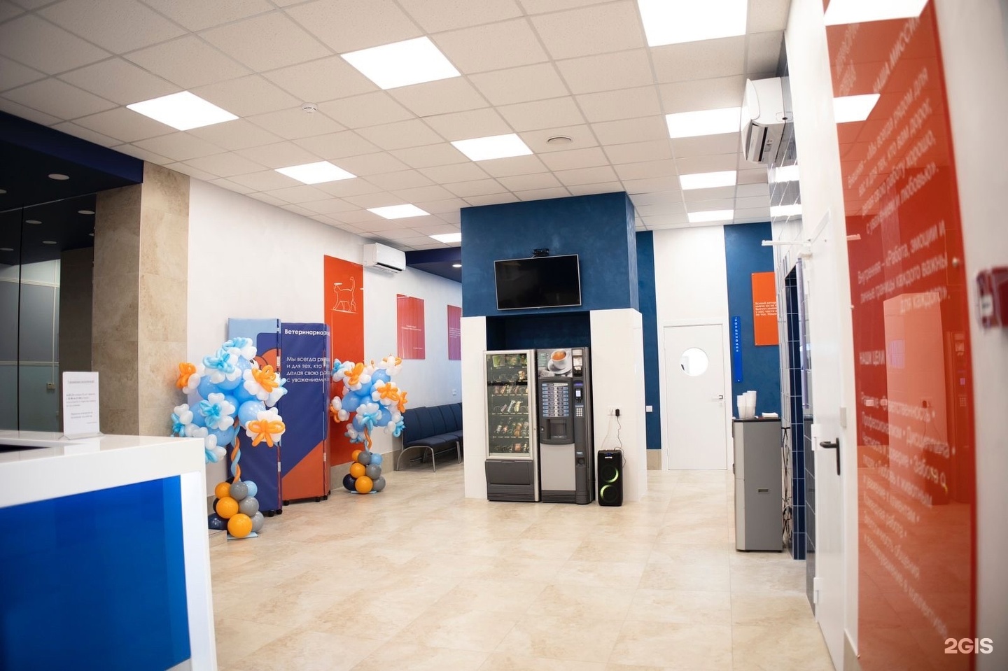 Ветеринарная служба №1, ветеринарная клиника