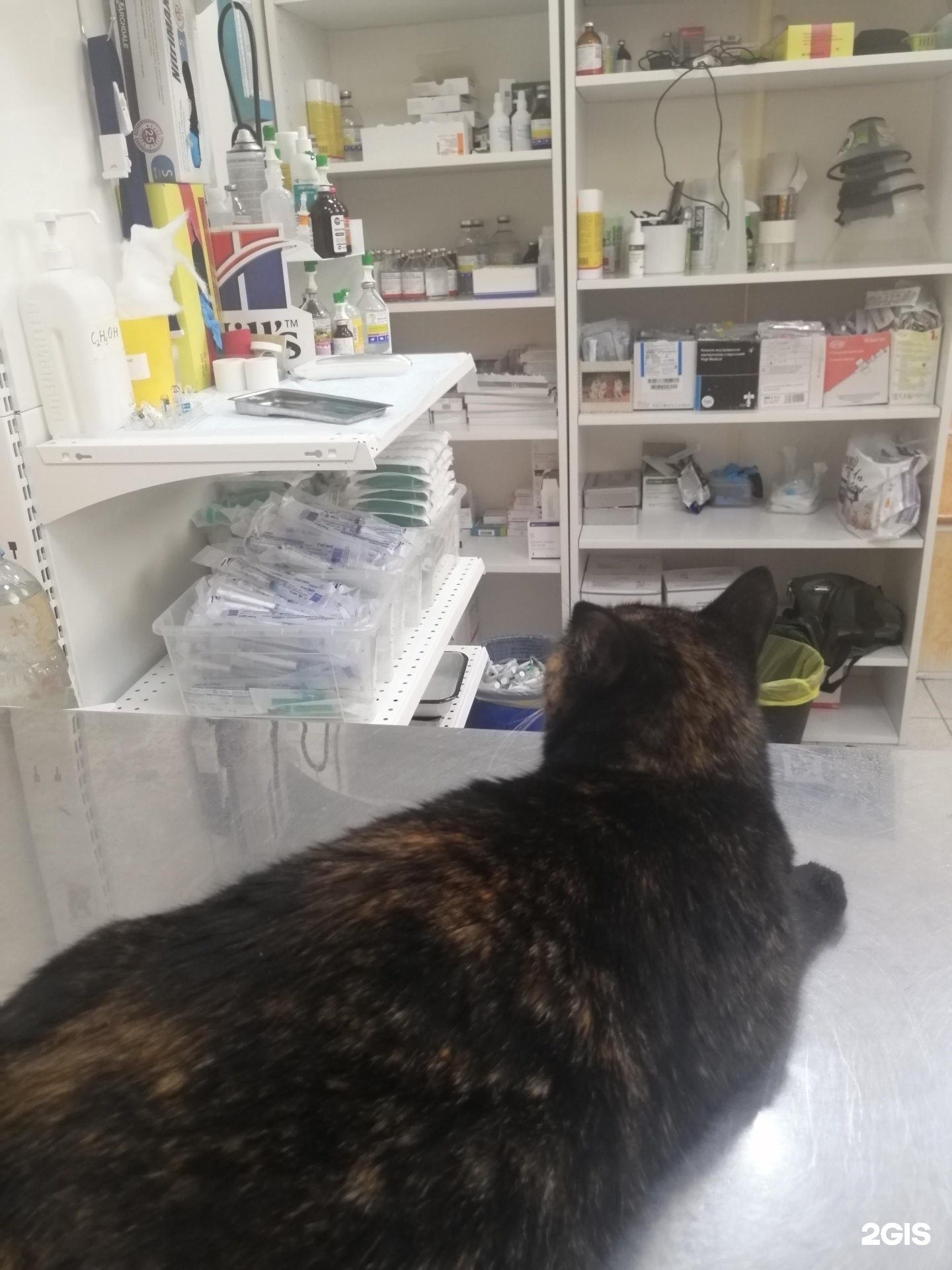 Альфа-Вет, ветеринарный центр