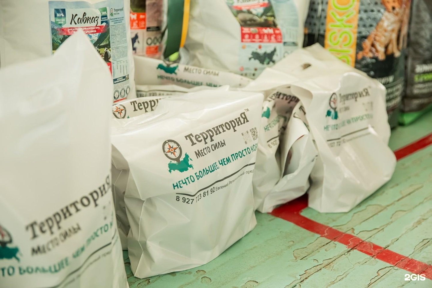 Априори, кинологический клуб