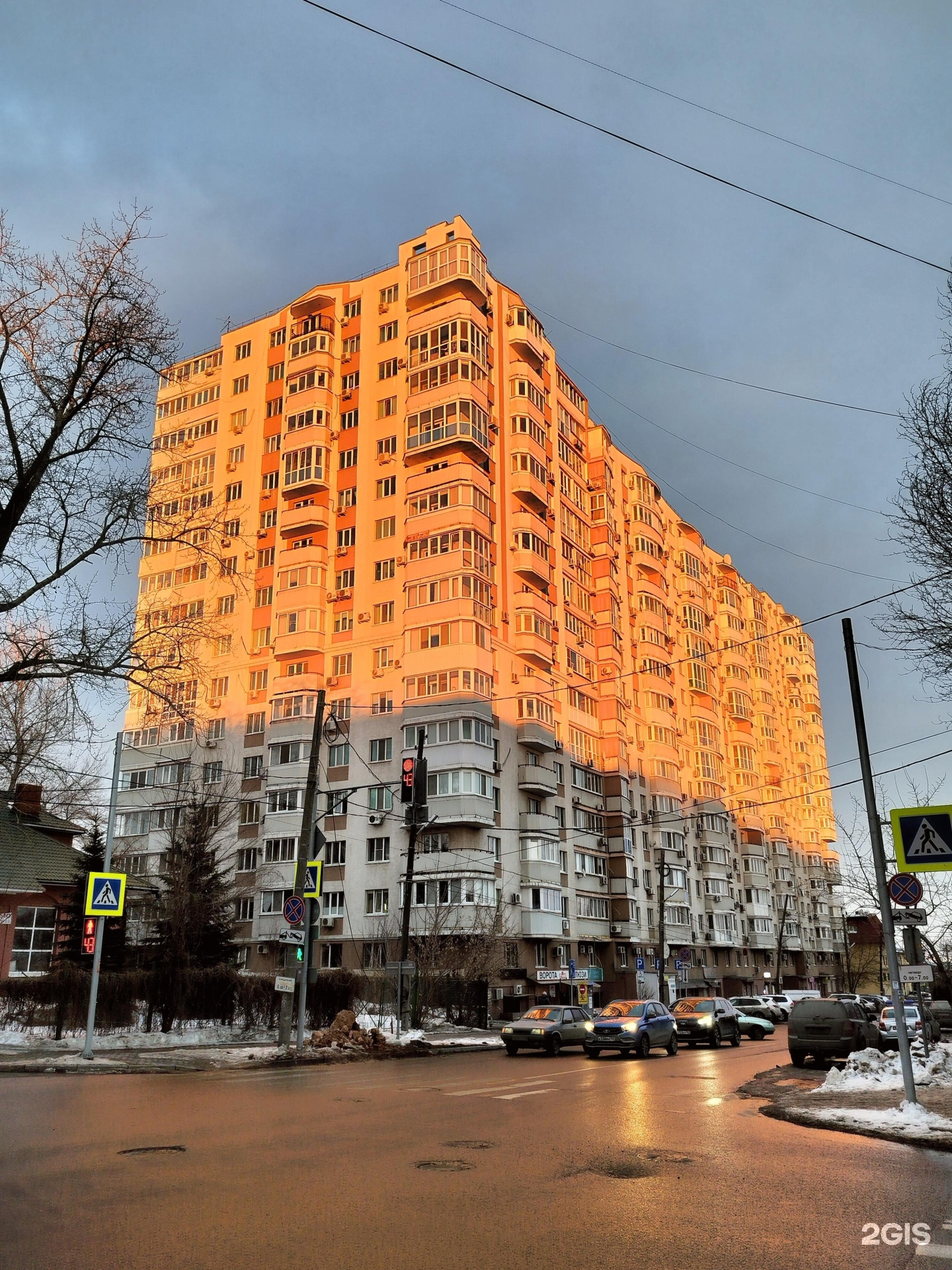 Азбука груминга, зоосалон