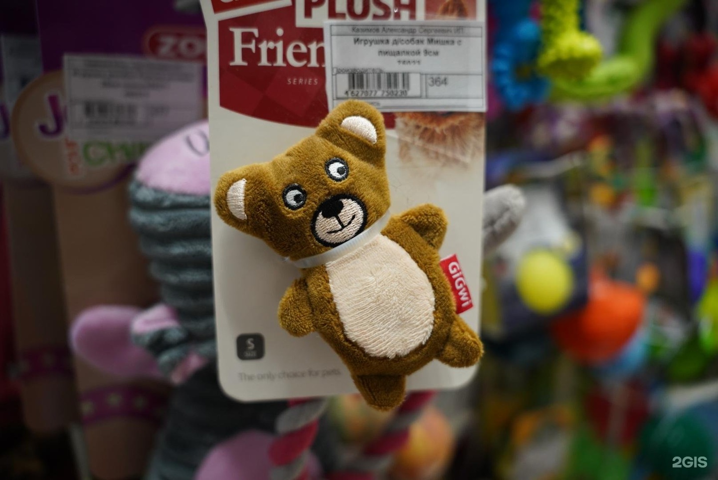 Чехвост, зоосалон