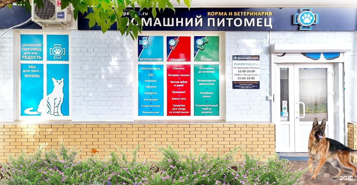 Домашний питомец