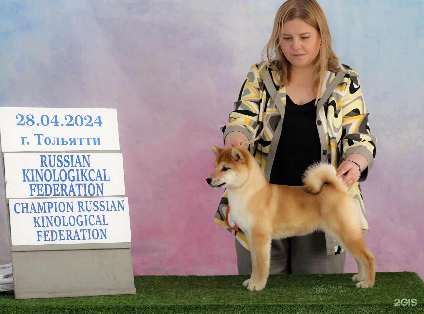 Импульс, кинологический клуб и салон груминга, улица Ново-Садовая, 230