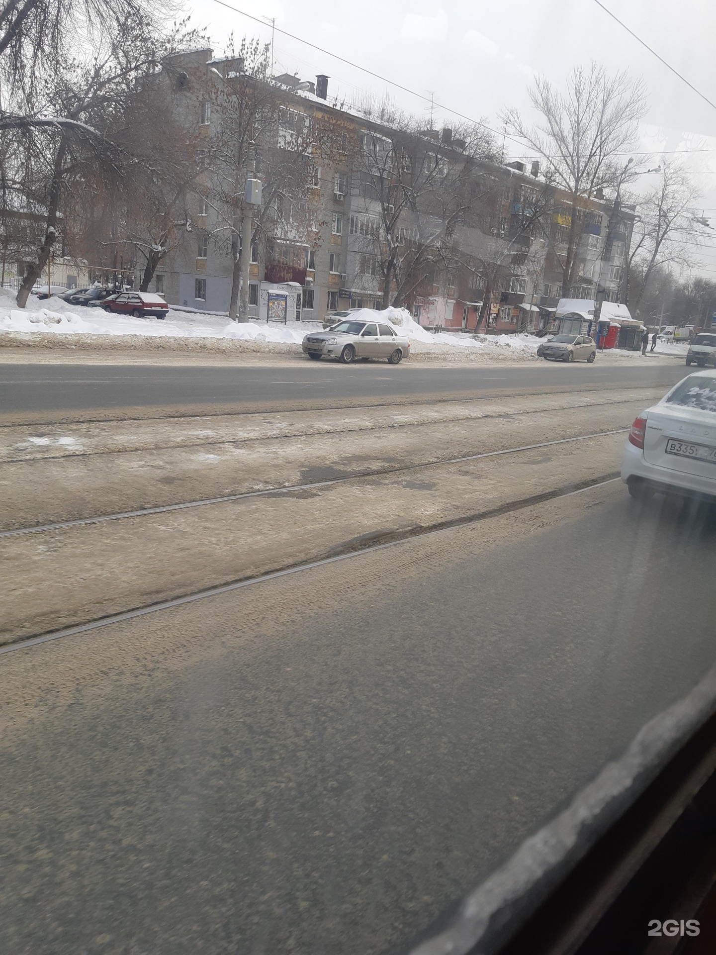 Котопёс, ветеринарный центр