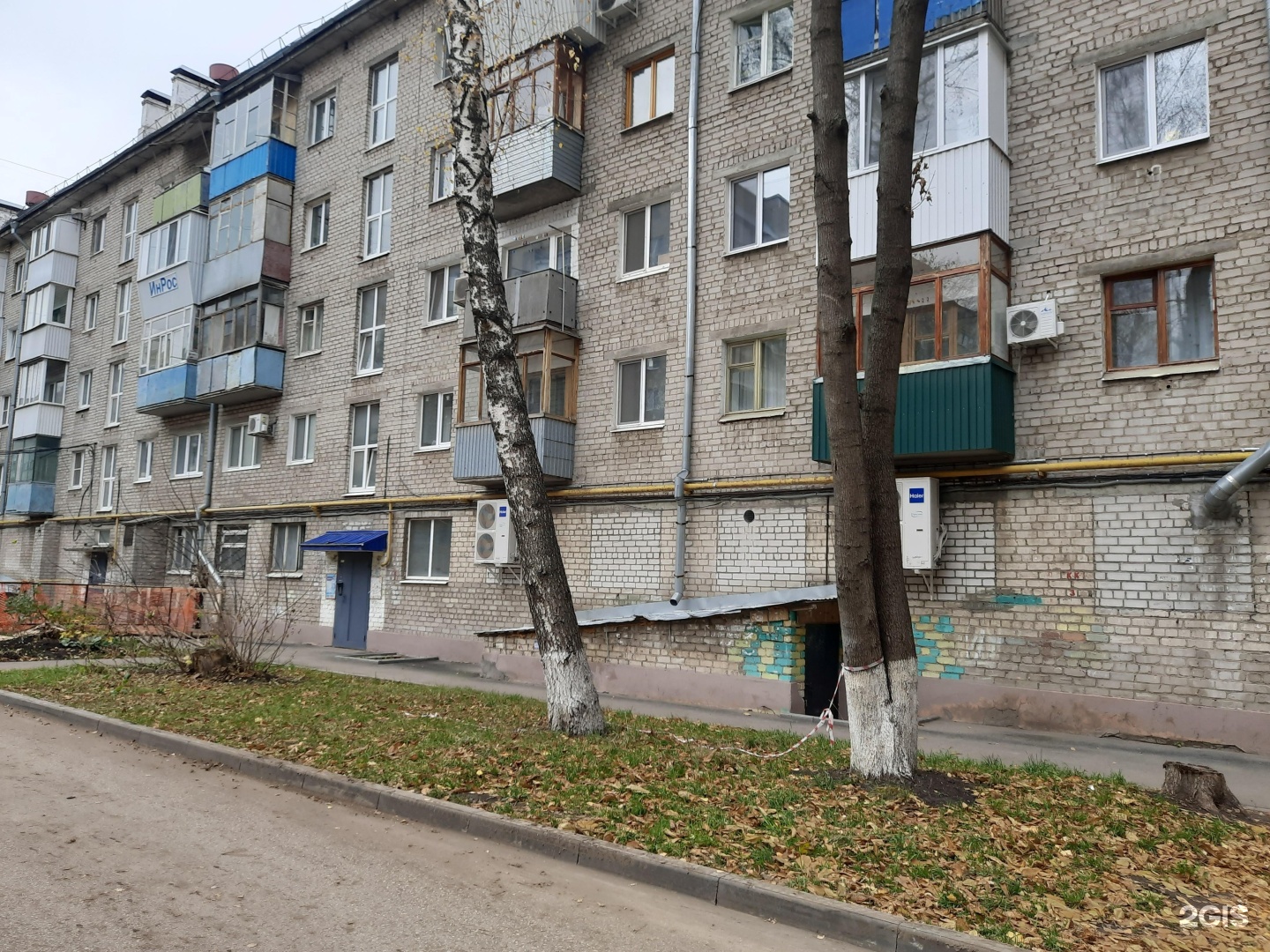 Samara Dog, кинологический центр