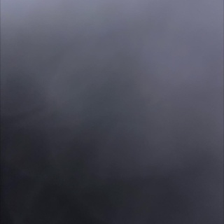 Зоося, центр услуг для животных