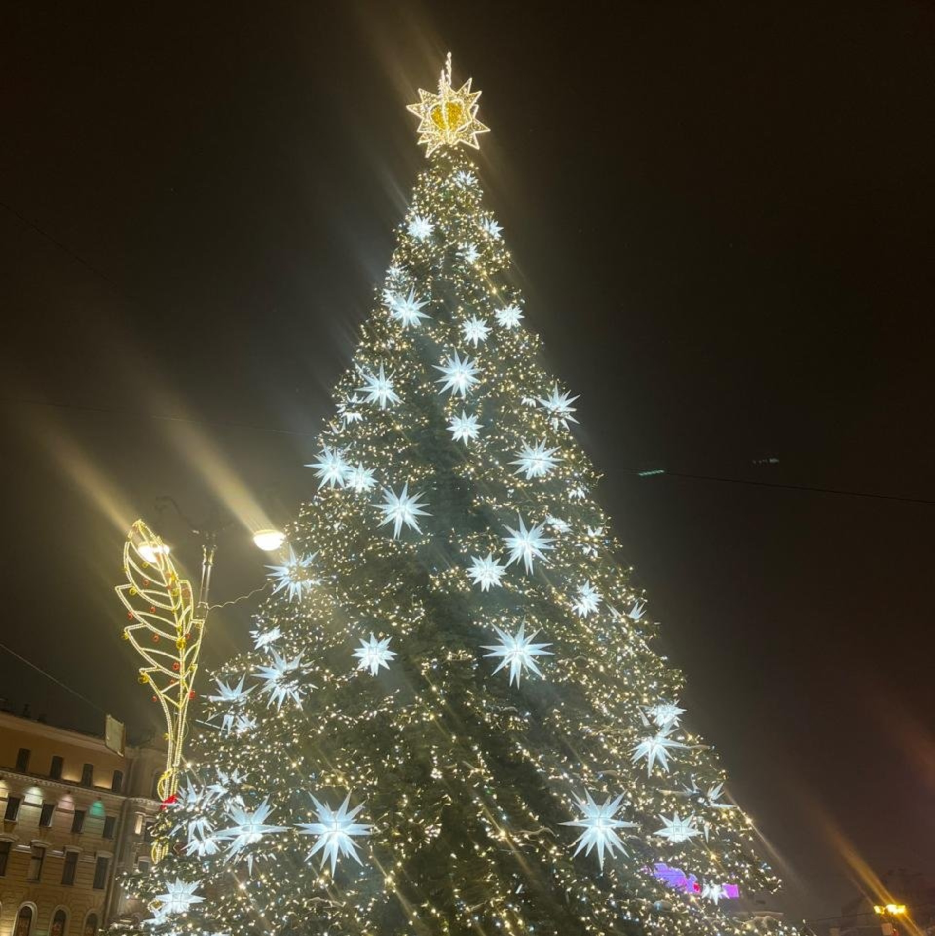Зов джунглей, зоомагазин, Стара Загора