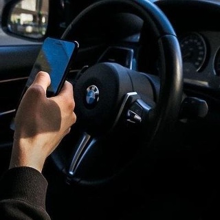 АльфаДог, кинологический центр