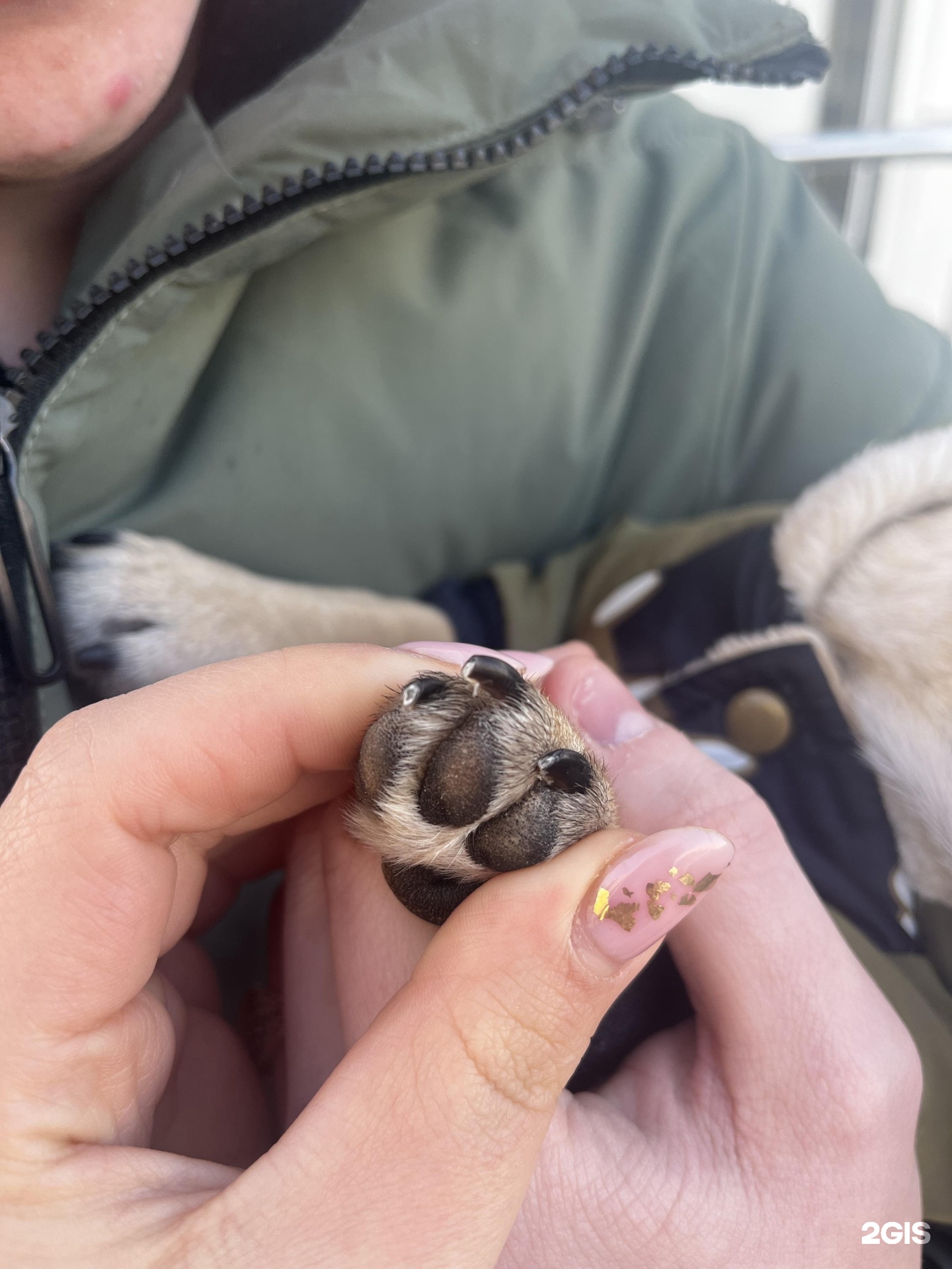 Частный ветеринарный центр