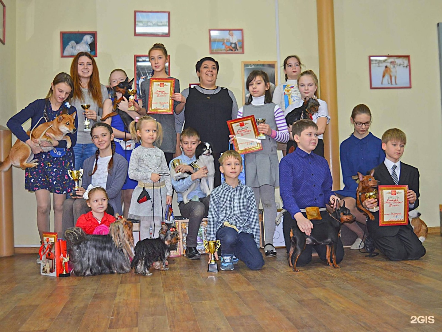 Дог-центр, хендлинг-зал