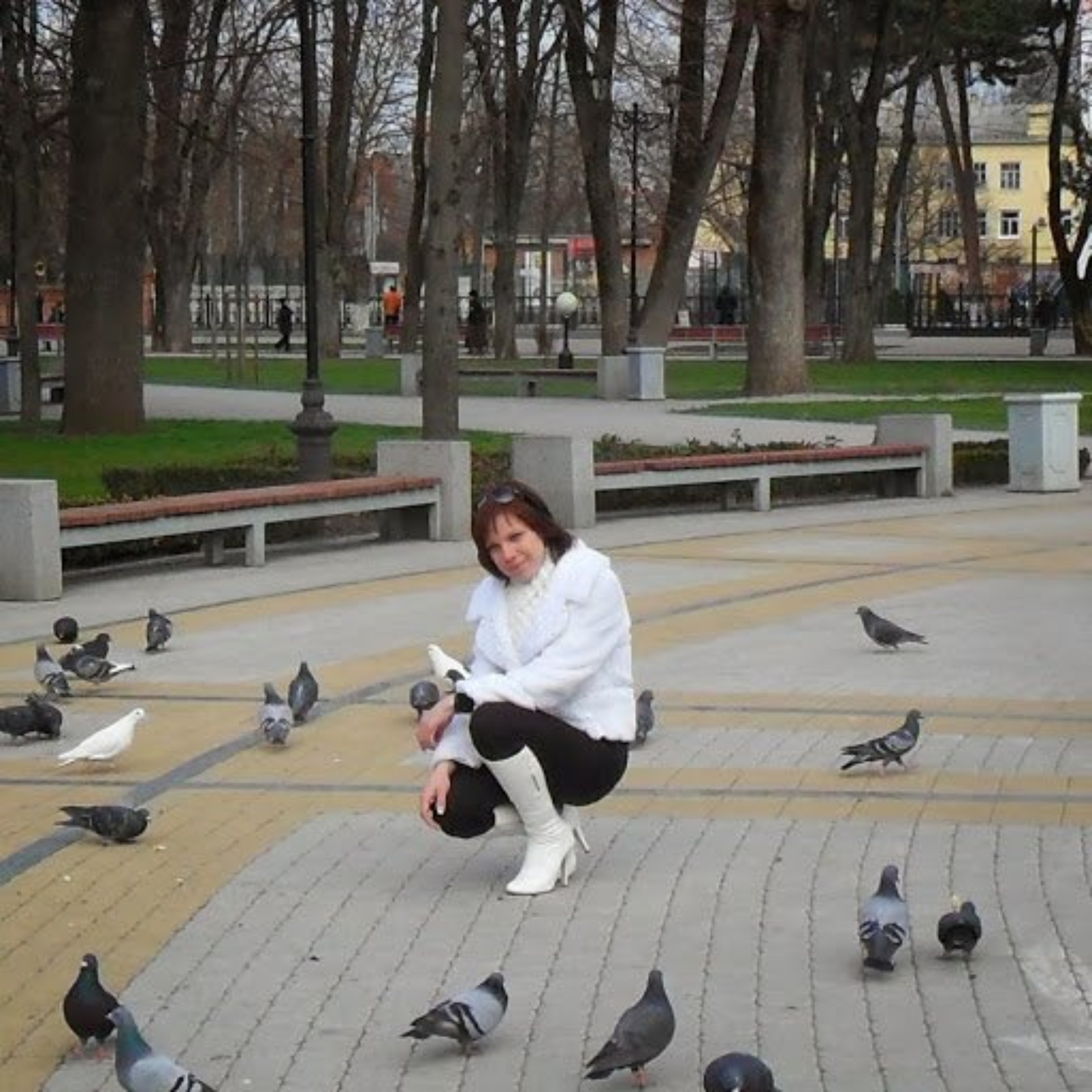 Пингвин, ветеринарная клиника