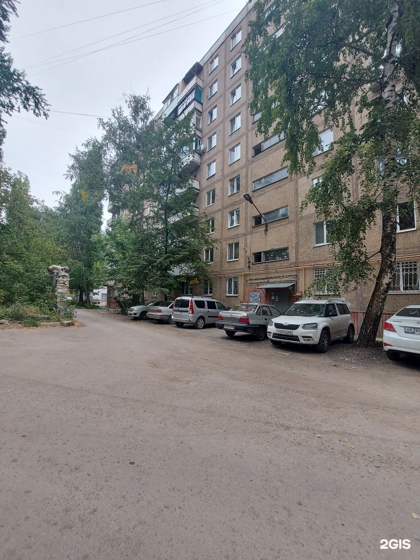 Титул, кинологический альянс, Шелковичная улица, 198