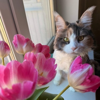 Zooмир, зоомагазин