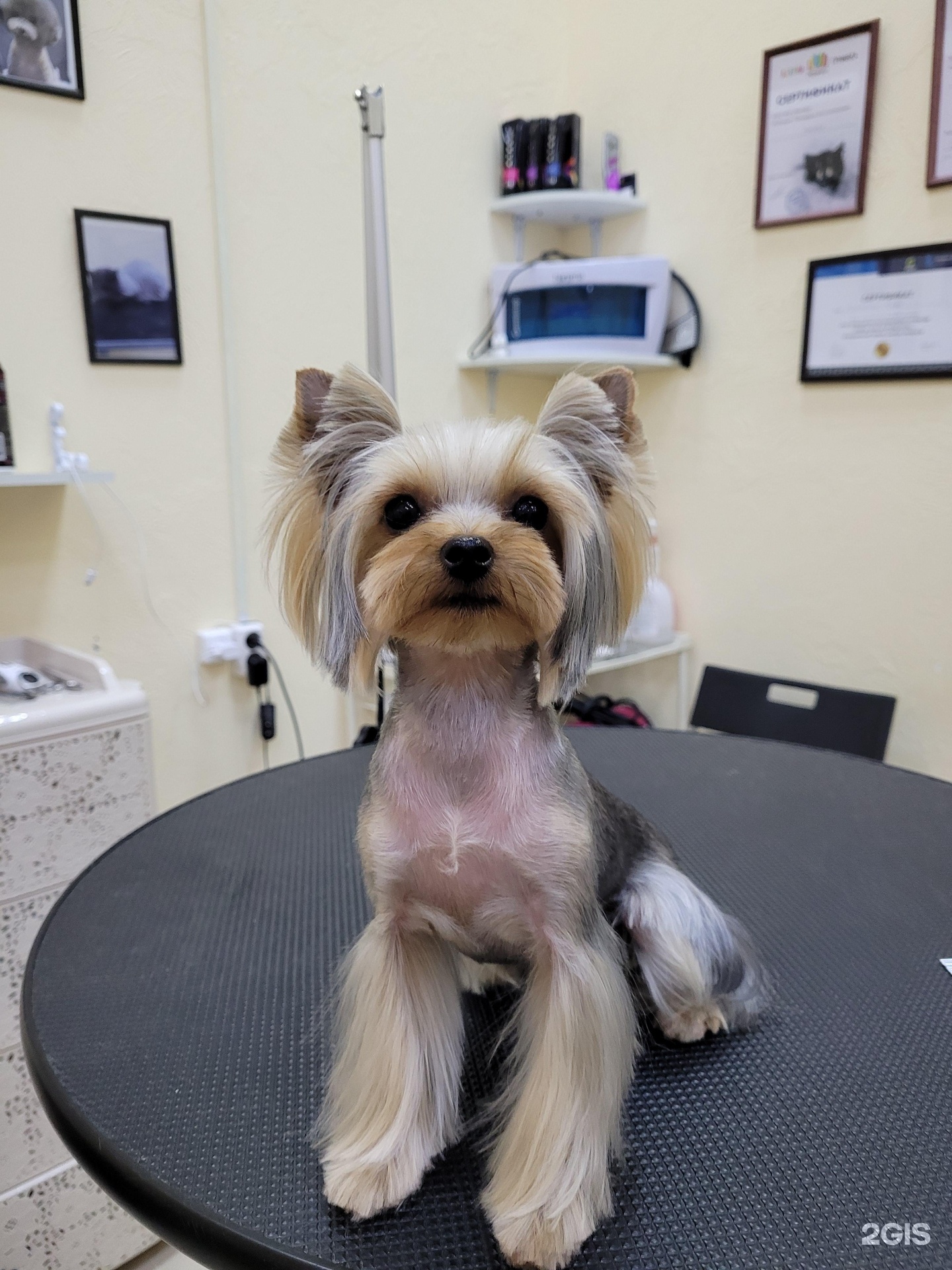 GroomFitness club, центр