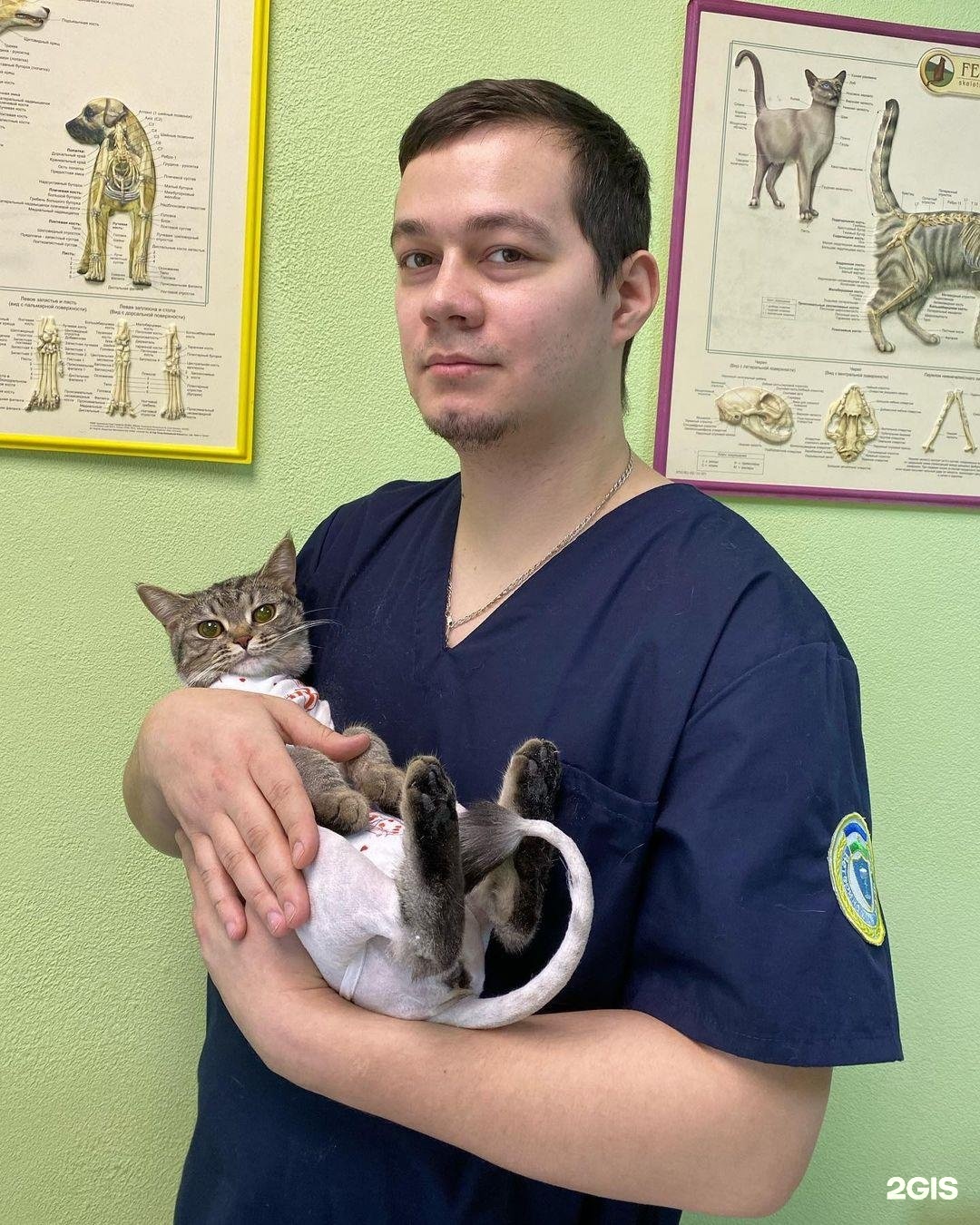 Добролапки — груминг Уфа