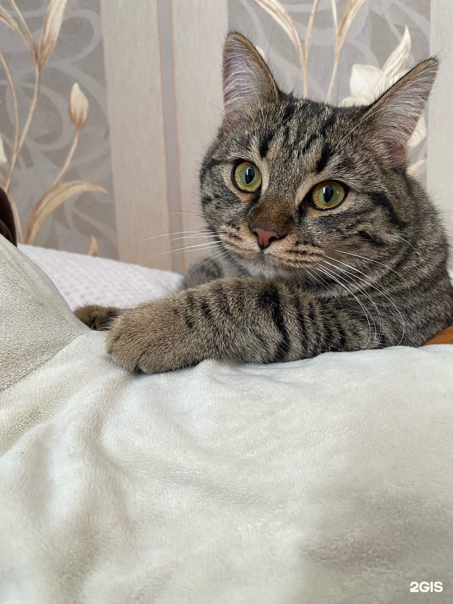 Евровет, ветеринарный центр