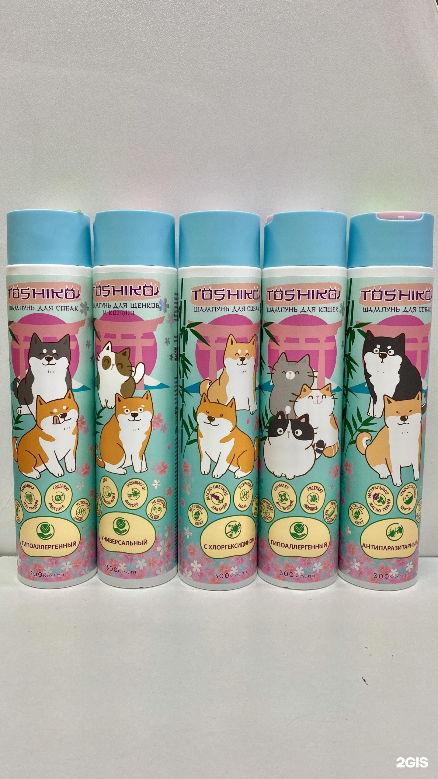 Кот да Винчи, зоомагазин