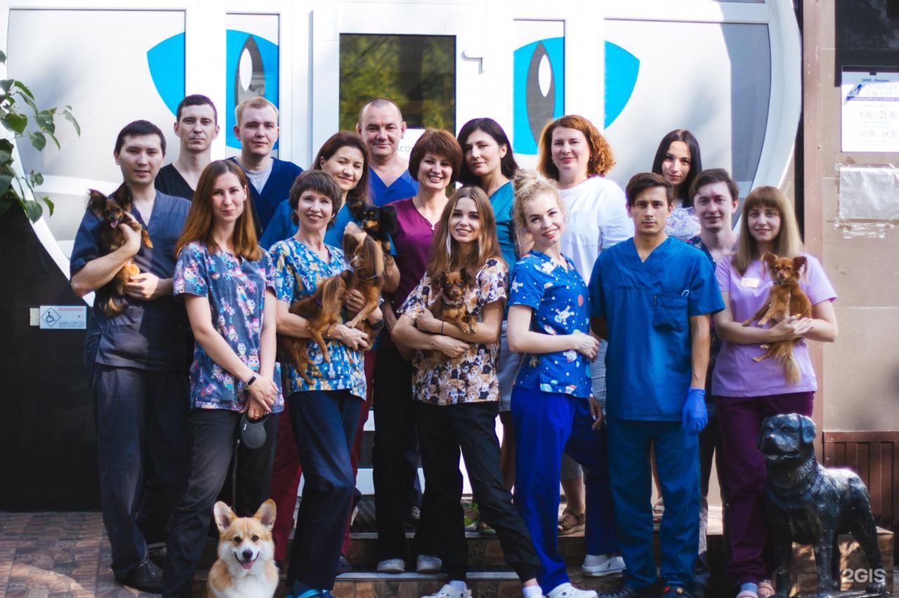 Наш добрый доктор, ветеринарная клиника