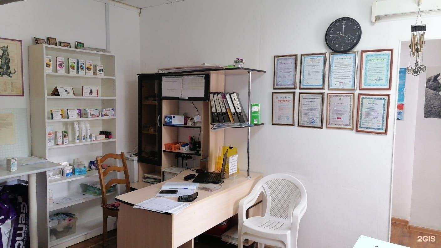 Зоодоктор, ветеринарная клиника