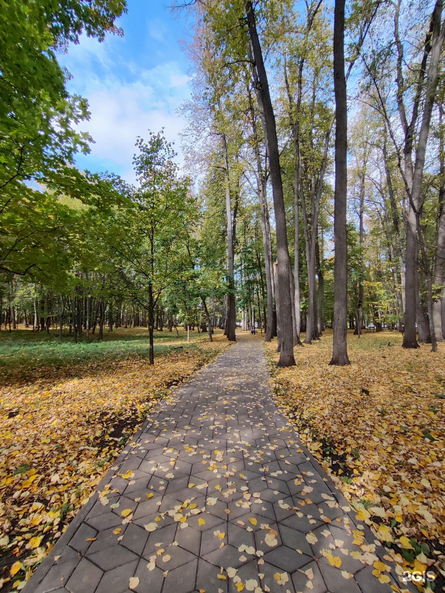 ZorgeVet, ветеринарная клиника