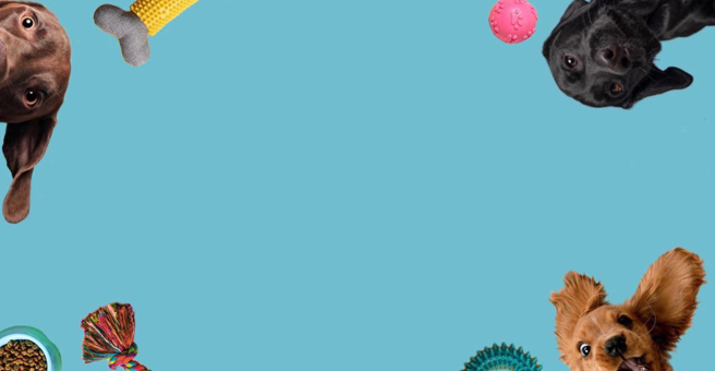 Пушистый Вояж, зооцентр