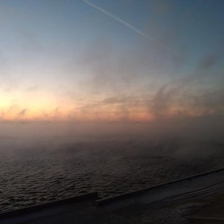 Кабинет ветеринарной помощи