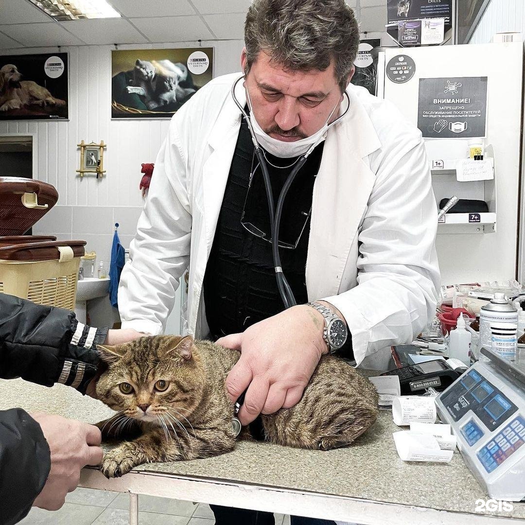 Кор.Вет, ветеринарная клиника