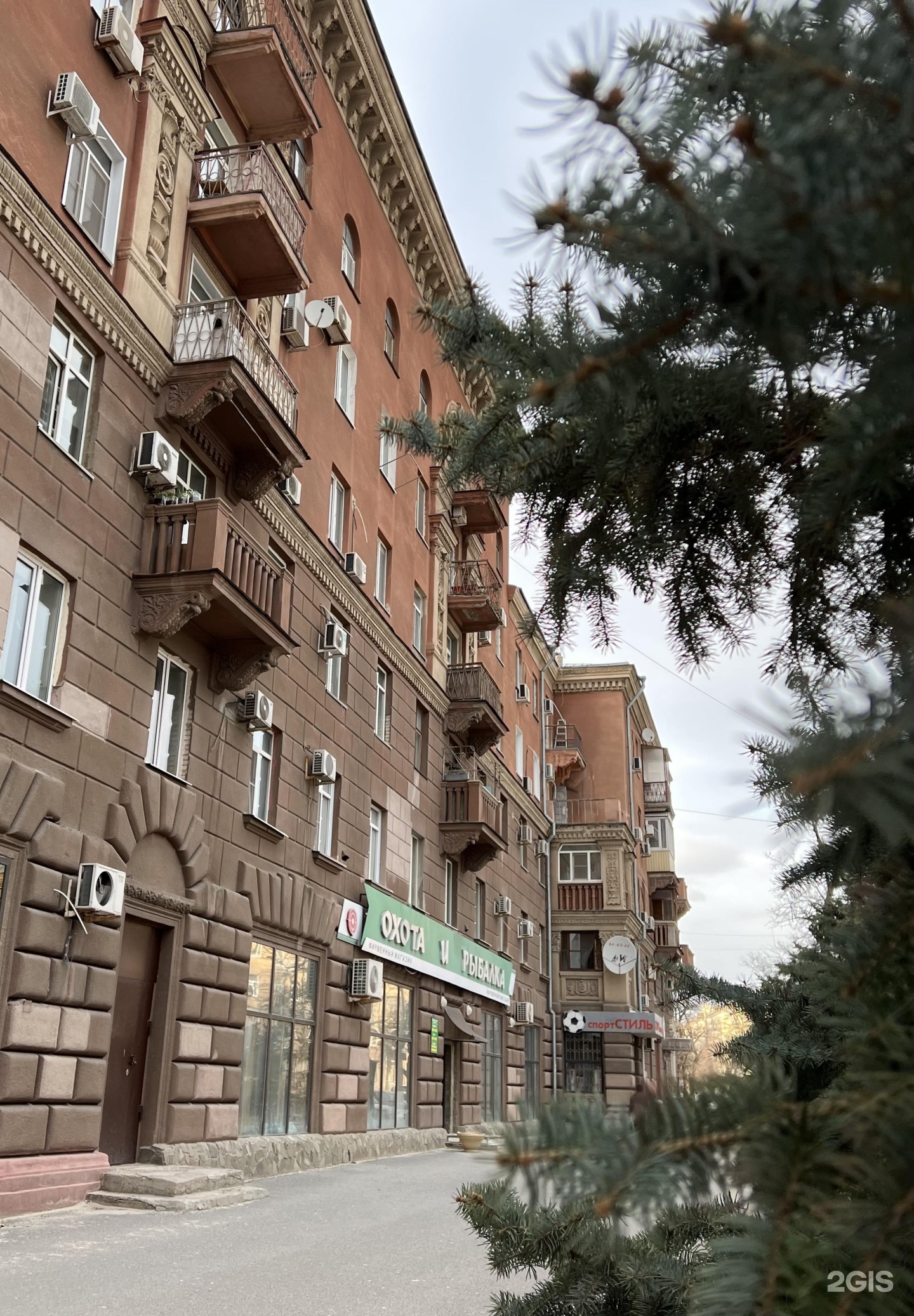 Зоодрузья, ветеринарный центр