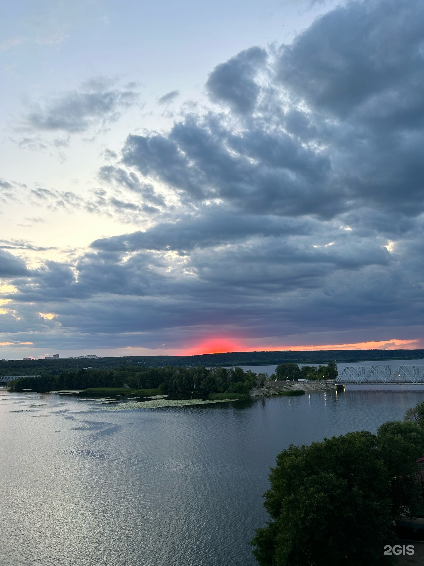 Доктор Кусь