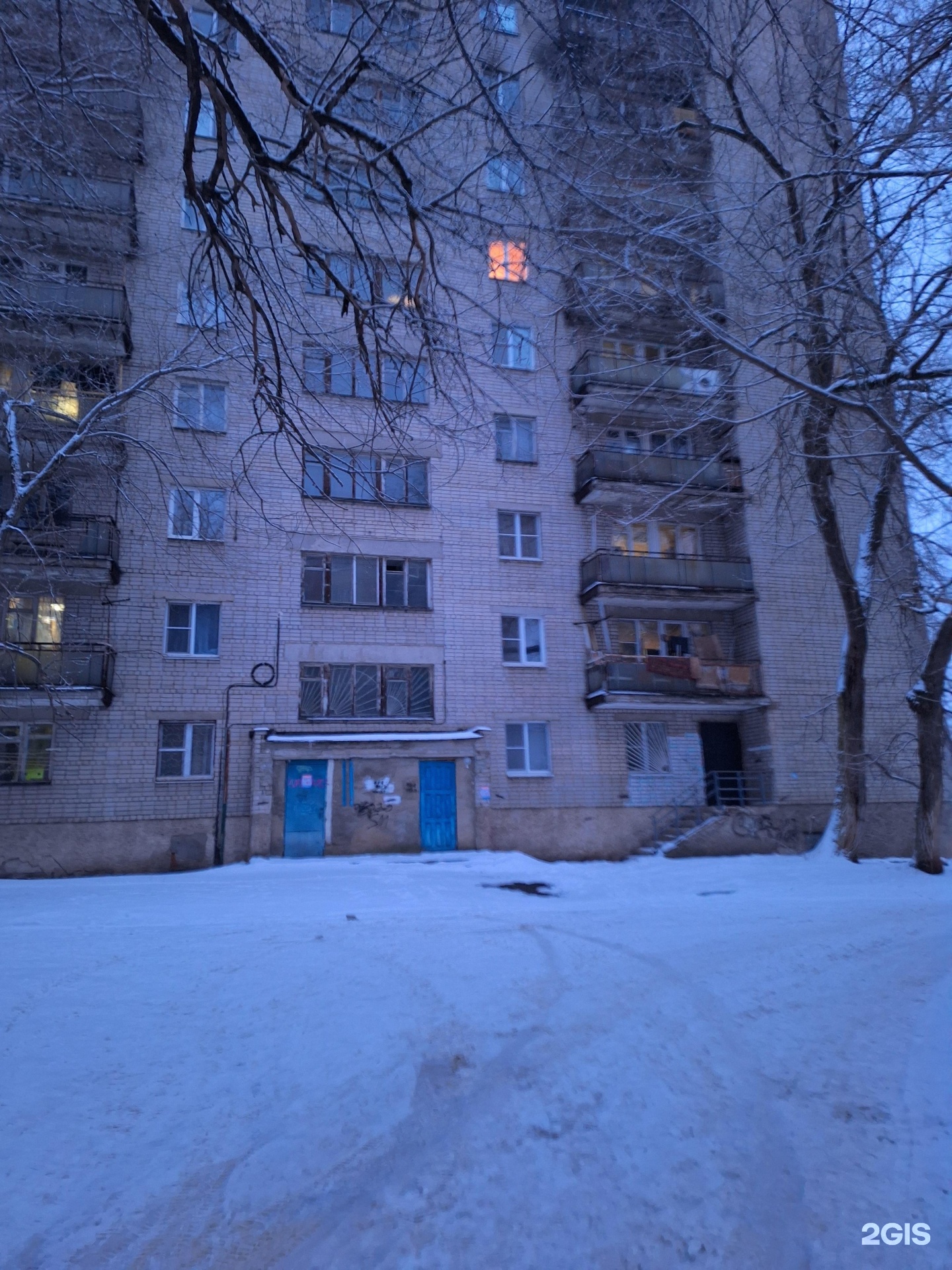 MITSUKI DOG SPA, студия груминга, Берёзовая Роща