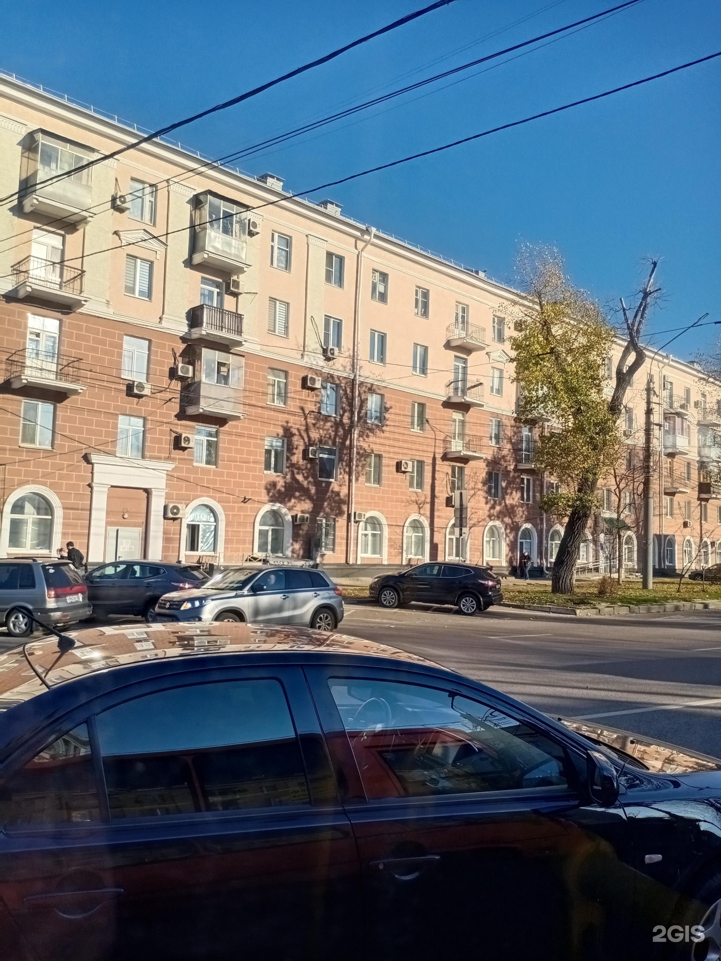 Здоровье Животных, ветеринарная клиника