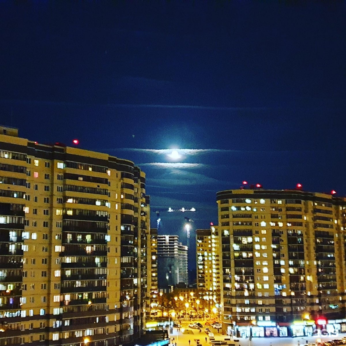 Здоровье Животных, ветеринарная клиника, Жилой массив Олимпийский, жилой массив Олимпийский