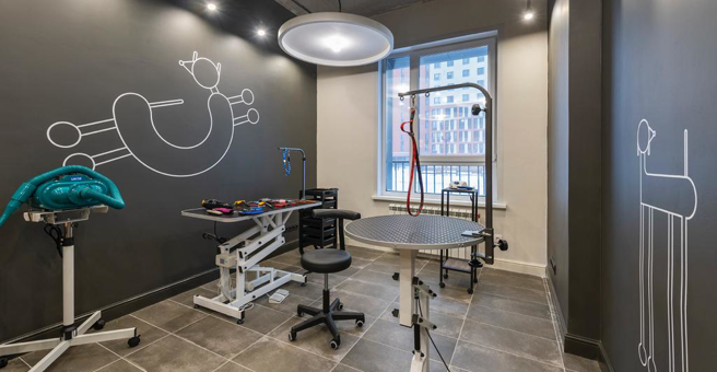 Barberdog, груминг-салон